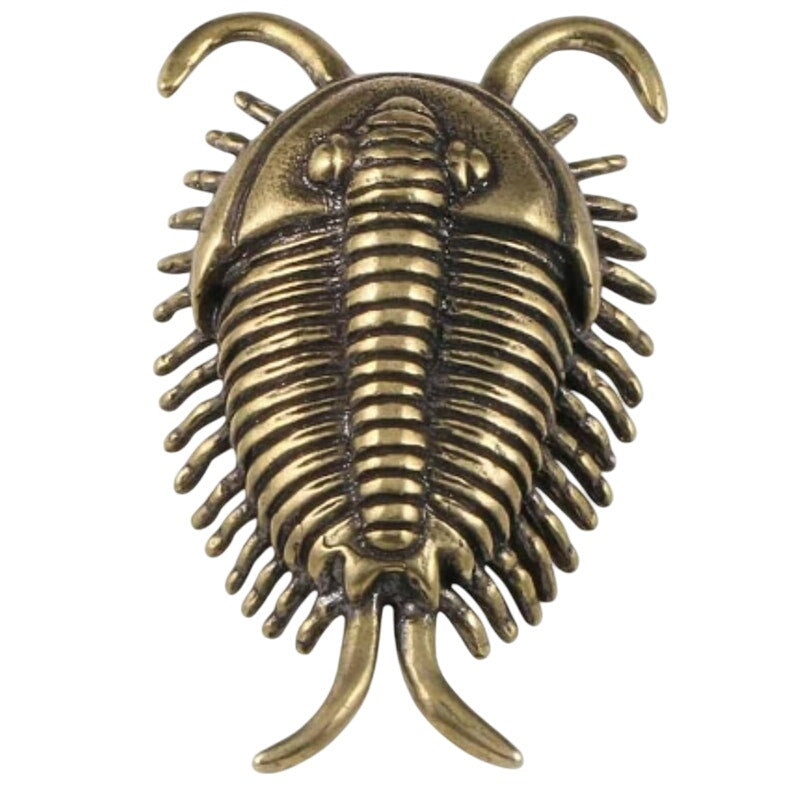 Trilobite Brass & Copper Feng Shui Charm