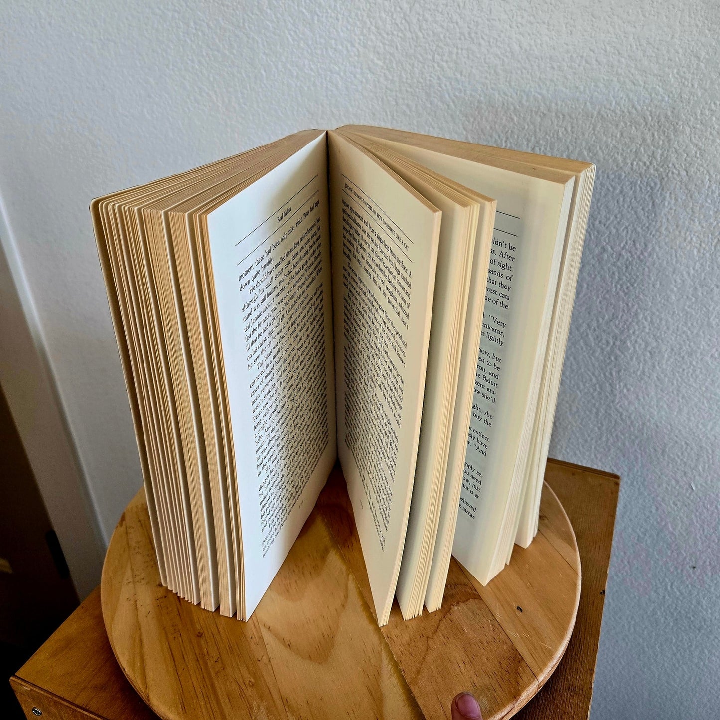 Vintage Paperback – Roger Caras's Treasury of Great Cat Stories (1987)